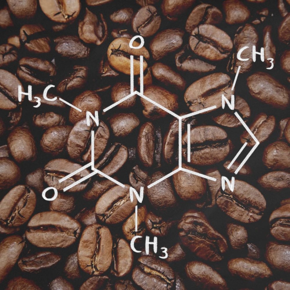 Koffein: Wachmacher – Genuss – Sucht - No Coffee