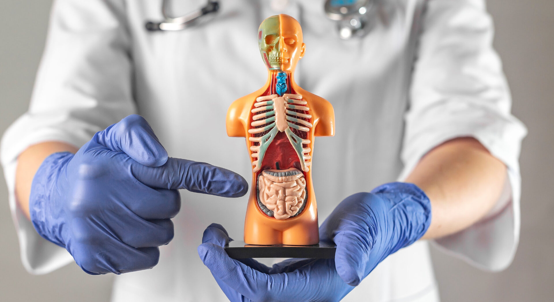 Schadet Kaffee deiner Darmflora?