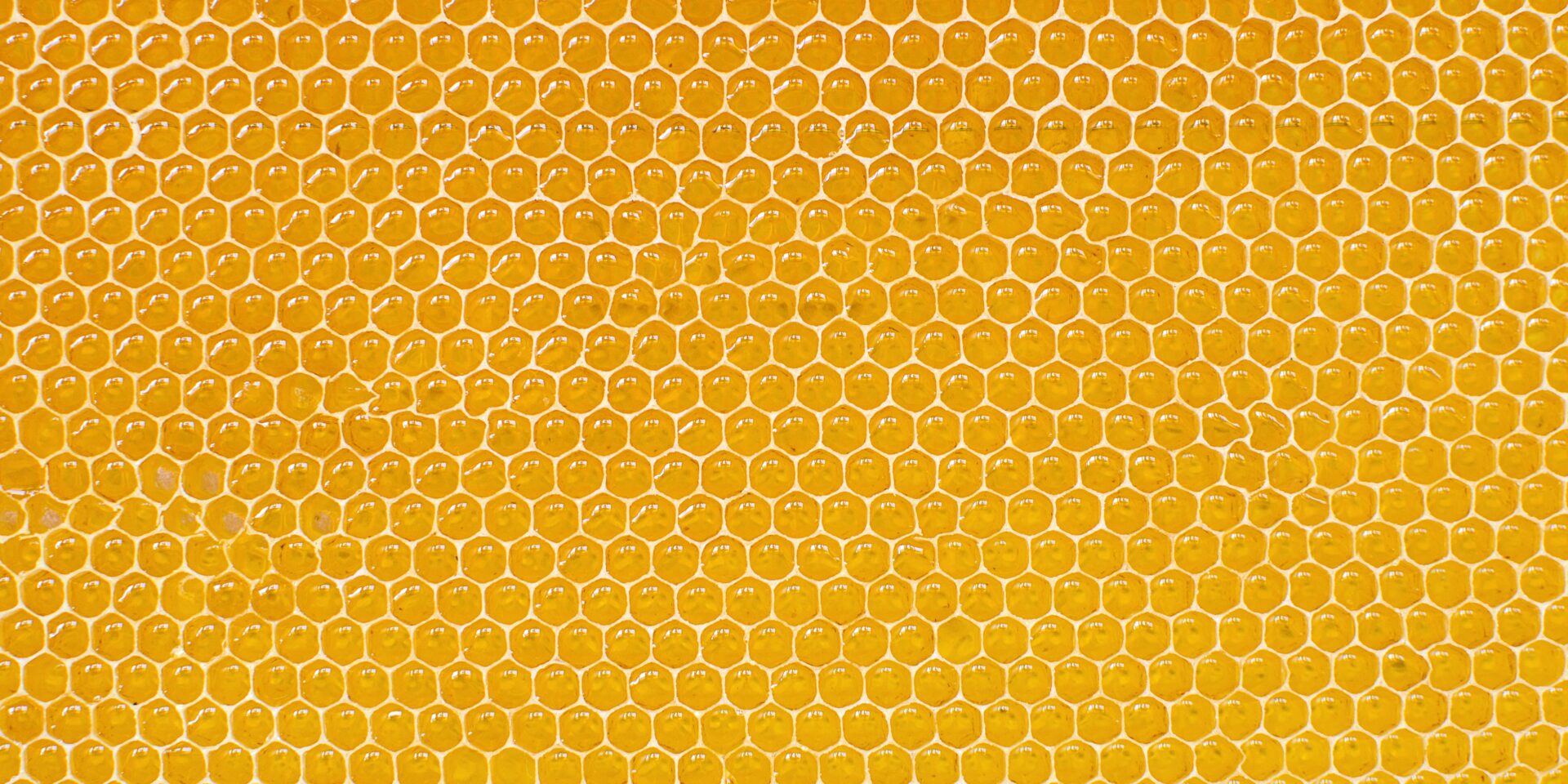 Honey Crunch Latte – NO COFFEE Eiskaffee Konzentrat